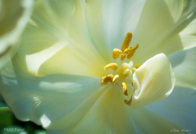 A-closer-Look-010