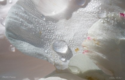 A-closer-Look-140