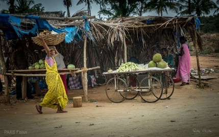 India-On-the-Road-060