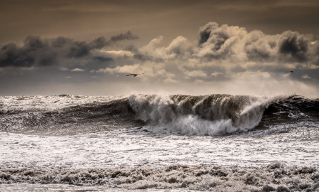 Mare-Iceland-160