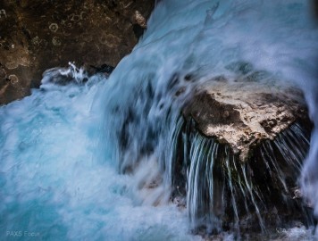 KONICA MINOLTA DIGITAL CAMERA